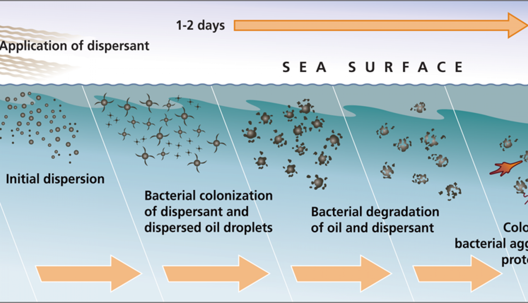 Dubichems rxsol oil spill dispersant