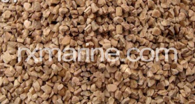 walnut supplier in Middle East Dubai